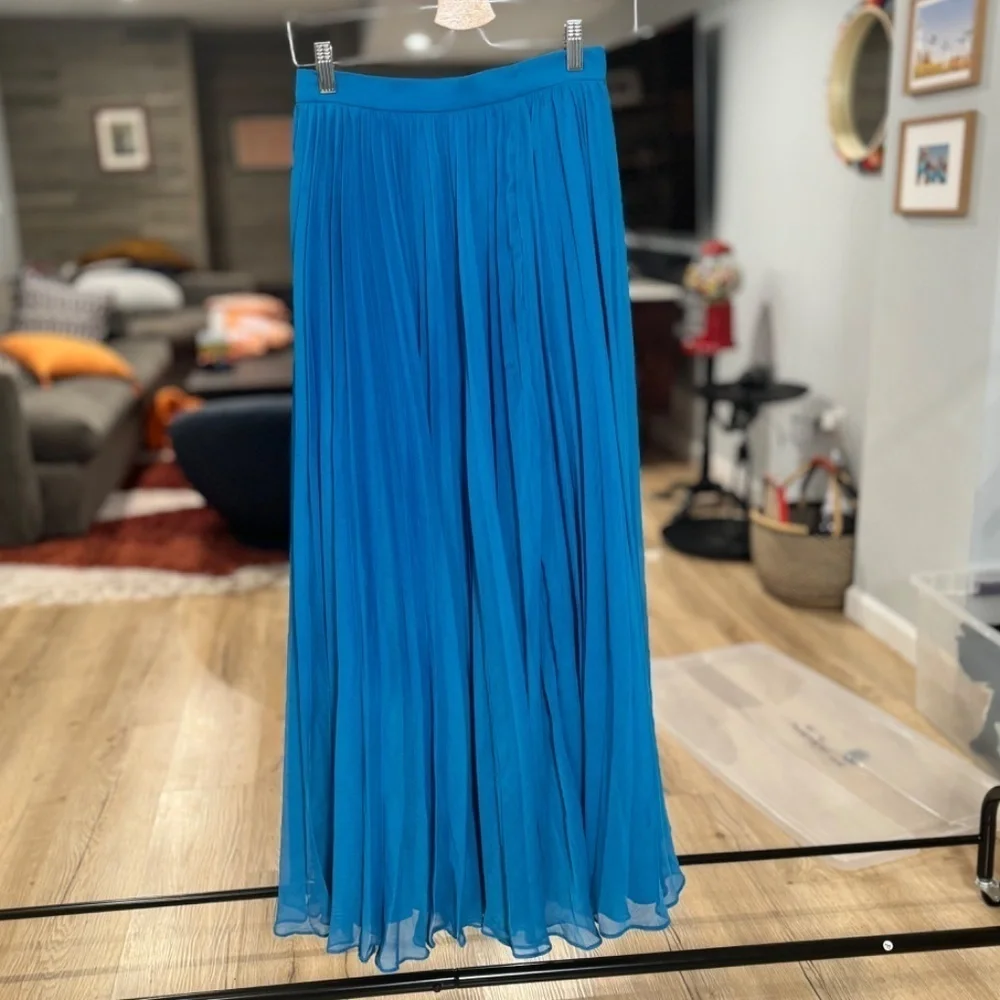 Anthropologie Pankaj & Nidhi Pleated Maxi Skirt Sz. Small - Picture 5 of 6